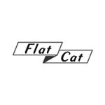 Flat Cat